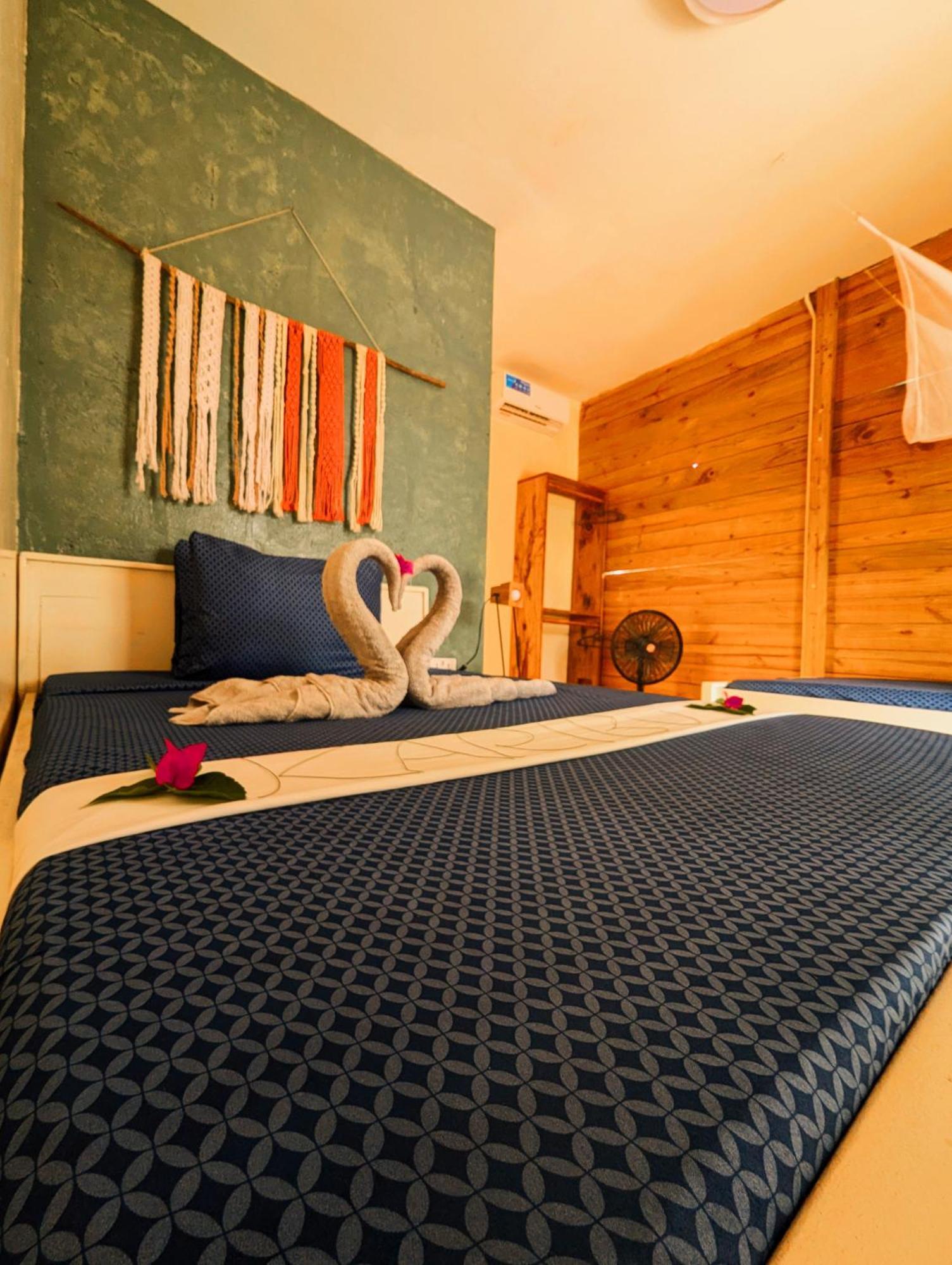 Jambiani Backpackers Hostel Ngoại thất bức ảnh